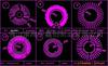 ��Ӧ�ٺϲ裬���߲裬���Բ裬����˯�߱�����