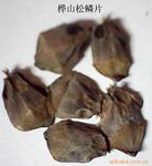 ��ӦSWR1400ϵ�г��³�ѹ���;�Ⱦ��