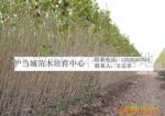 ��Ӧ�Ҿ����/�Ƶ�Ҿ�/�칫�Ҿ�/����ַ��輸
