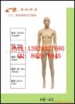 ��Ӧ��Ʒ��ţ��(����.)������.ѧ�����������豸