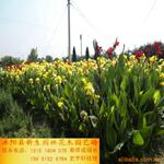 供应长手柄套.胶木手柄套