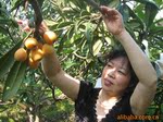��Ӧ����������