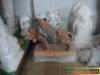 ��Ӧ���������ˮ��ѹ��ϴ����ģ�߳�ϴ��