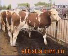 ��Ӧ������ꡢ�����ϵͳ������괲����׼ӹ�������