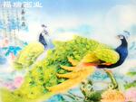 ��Ӧ������ ��ɰ�� ������ɰ�� ������ ������