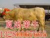 ��Ӧ�Ӻ�����ȡ��