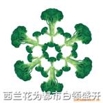 ��Ӧ�������
