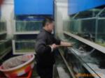 ��Ӧ����.����.�ֱ�.����.����.��ľ��.���ϼ�
