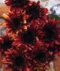 ��Ӧ���/������/ͭ�ƽ����