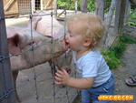 ��Ӧ���ڷ������㣬ɱ�����������Ʒ