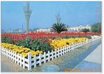 ��Ӧ�������ƣ���Ȩ�ƣ������ƣ������ƣ�����Ʒ����Ʒ