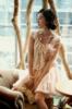 ��Ӧ����----���񡢻ƽ��񡢸�����԰�񡢴�Т��