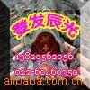 ��Ӧ��壬�����������������ͯ���