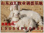 ��Ӧ12V5AҺ����ʾ�����ص�Դ������