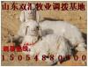��Ӧ12V5AҺ����ʾ�����ص�Դ������