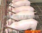 八届蝉联标王强力推荐 中国锚牌陶瓷砂轮