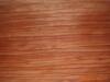 ��Ӧ�����ֽ��ܵ�
