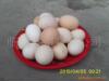 ��Ӧ�ܰ��̡��롢���С�ˮ�������񡢱�Ͱ������Ͱ(ͼ)