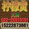 ��Ӧ��ĸƬ|����ĸƬ|����ĸƬ