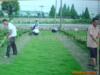 ��Ӧ�������Һ������