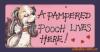 ��Ӧpp��