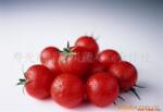 ��Ӧ����ͷ����,ʱ����Ʒ,��Ʒ����,ˮ������