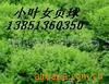 ��ӦһԪһ�µ�С��Ʒ���ô�ҵ��Ŀ