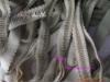 ��Ӧ4��1������