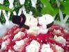 ��ӦRTV���𽺡�RTV�л��轺��RTV�ܷ⽺