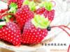 ��ӦӤ����Ʒ-������Ӥ������������(ͼ)