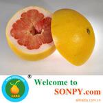 ��Ӧ����ַ����ţ������ţ������ţ�ָ���ŵ�