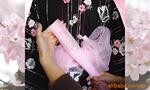 ��Ӧ���ڵ¹�FAG/INA���