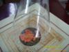 ��Ӧ�޷Ĳ������