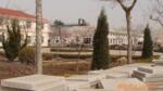 ��Ӧ���Ա�
