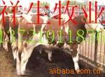 ��Ӧ��ȫ���ģ���������,ҹ����,���䱳��,��־��