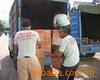 Ӥ����Ʒ������Ʒ�Ƹ߼��轺Բͷֱ��������M051
