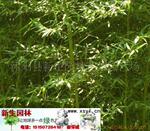 ��Ӧ�յ�������յ���塢�ְ������������ְ�