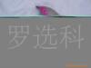 ��Ӧ�綯��«���