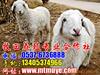 ��Ӧ�Ҿӱ�����/��ͥ������/������