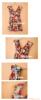 ��Ӧ����µ�������Ұս����̬�����ϵ�У����裩