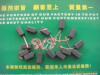 ��Ӧ��ȫ��,����ִ�ɴ304L 316L(ͼ)