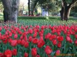 ��Ӧѹ������ֽ֯¨�������������Ҽ�������Ʒ