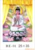 ��Ӧ���ݲ裬�Ǹ�ƻ��裬��Ʒ��  ������