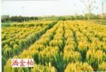 ��Ӧ�������������Ʒ�������Ʒ�������װ����
