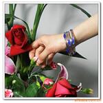 ��Ӧ�ߵ�����Ҷ��,���Ʋ�Ҷ��,������Ҷ��,����