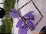 ��Ӧ���ϴ�