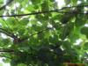 ��Ӧ��ֵ�������Դ��PC Power Supply