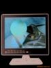 ��Ӧ���ӻ���Ʒ