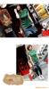 ��Ӧ������,��ֳ��,��ɴ��,������