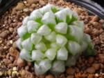 ��Ӧ�ֹ���֯�������ֹ������ֹ�����